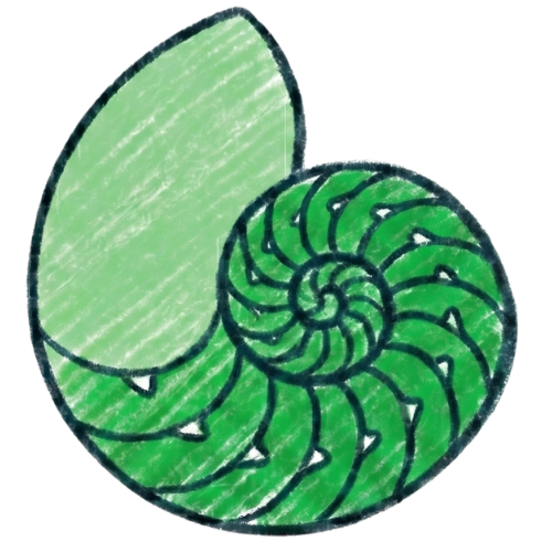 Nautilus shell handdrawn Illustration