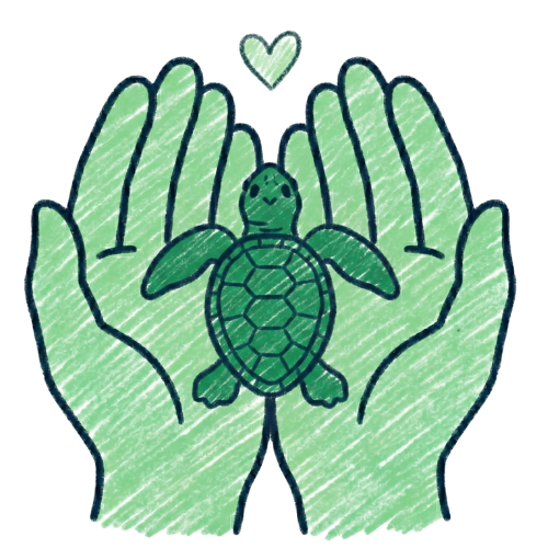 Support-Turtles-Handdrawn-Aruba